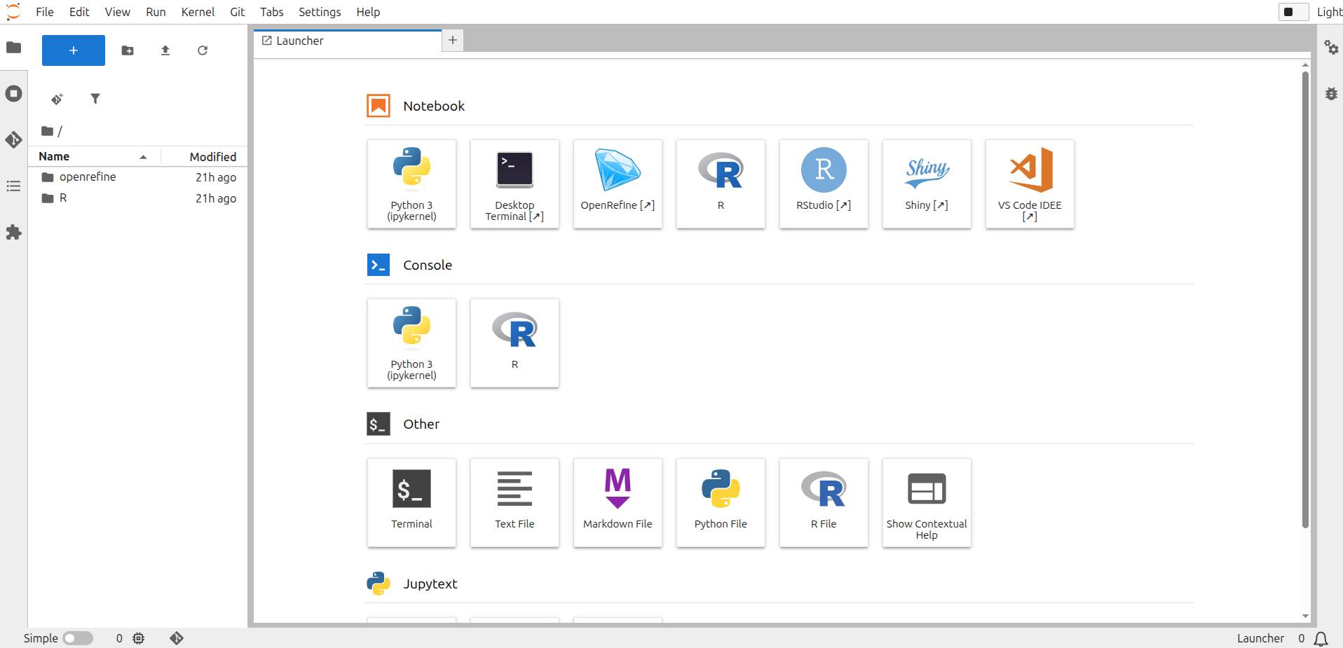 JupyterLab-Umgebung nach dem Serverstart